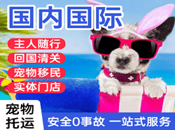 长乐空运地址国际宠物托运 【国